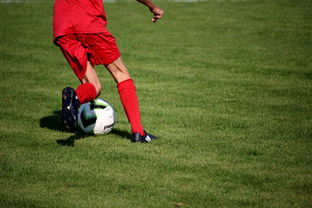 mk体育-篮球运动员心理韧性培养及心理干预体系，篮球运动员的心理训练